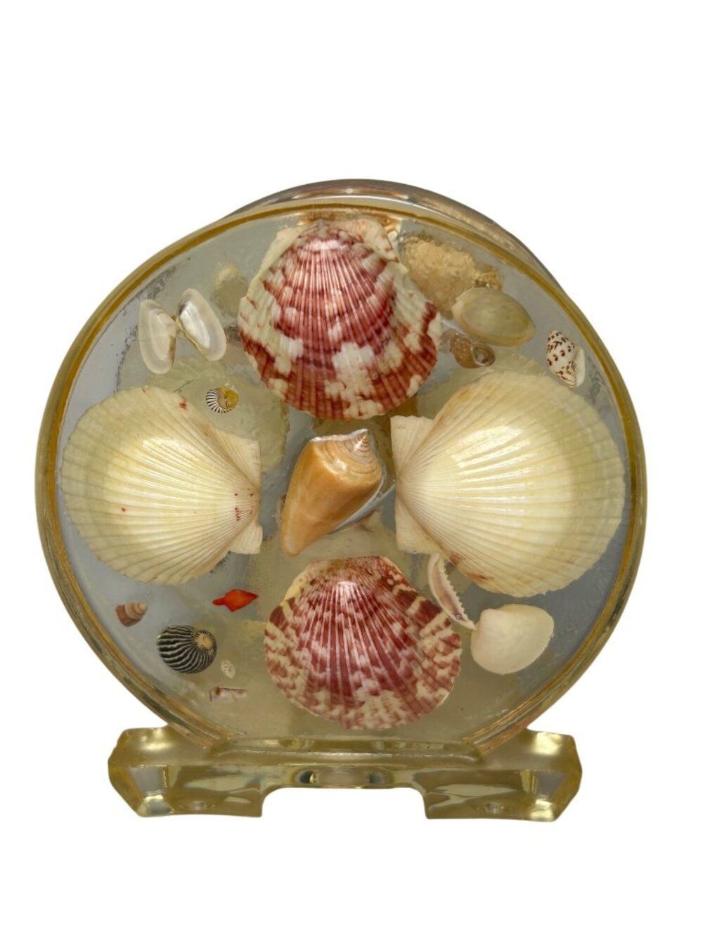 VTG Seashell Napkin Holder Lucite Acrylic w/ Real Shells Coastal Beach Nautical - Picture 4 of 9